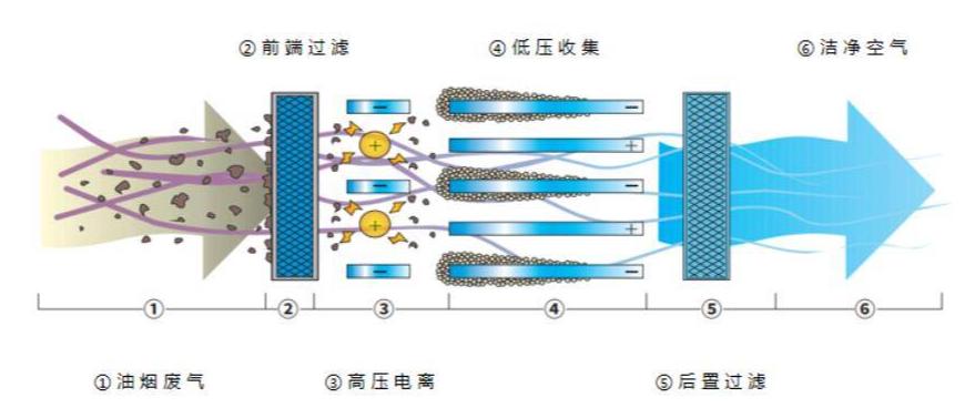 圖片5.jpg